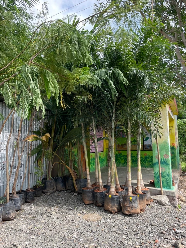 वानगांवमध्ये वृक्ष लागवड उपक्रम राबवला